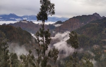 हिउँदे बर्षाले किसान खुसी, चिसोबाट बच्न स्वास्थ्यकर्मीहरुको आग्रह 